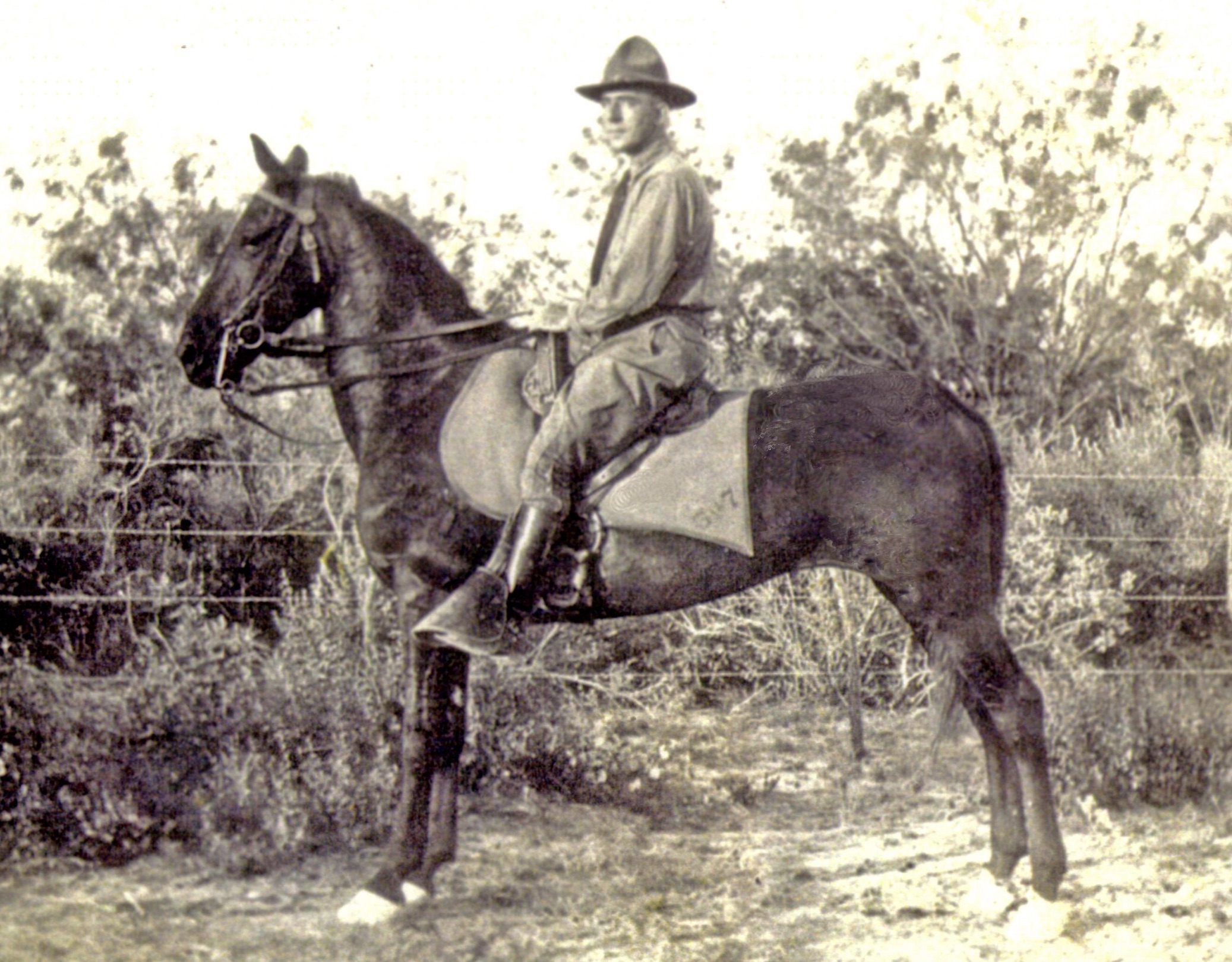 1918, my grandfather, an Army veterinarian in WWI on his horse Key